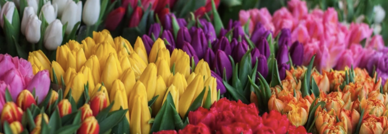 Hegges Blomster